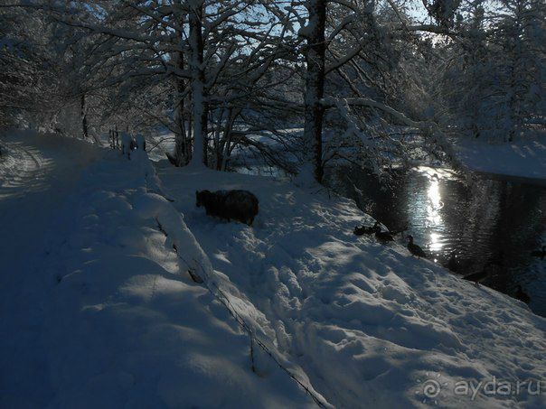 Альбом отзыва "Швеция - волшебная страна..."