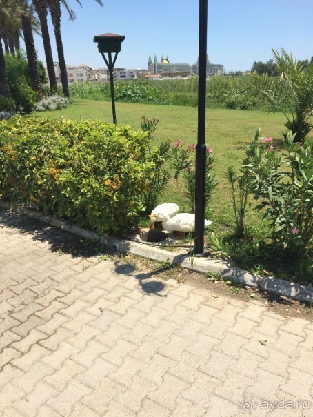 фото Miracle Resort Hotel