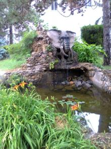 территория