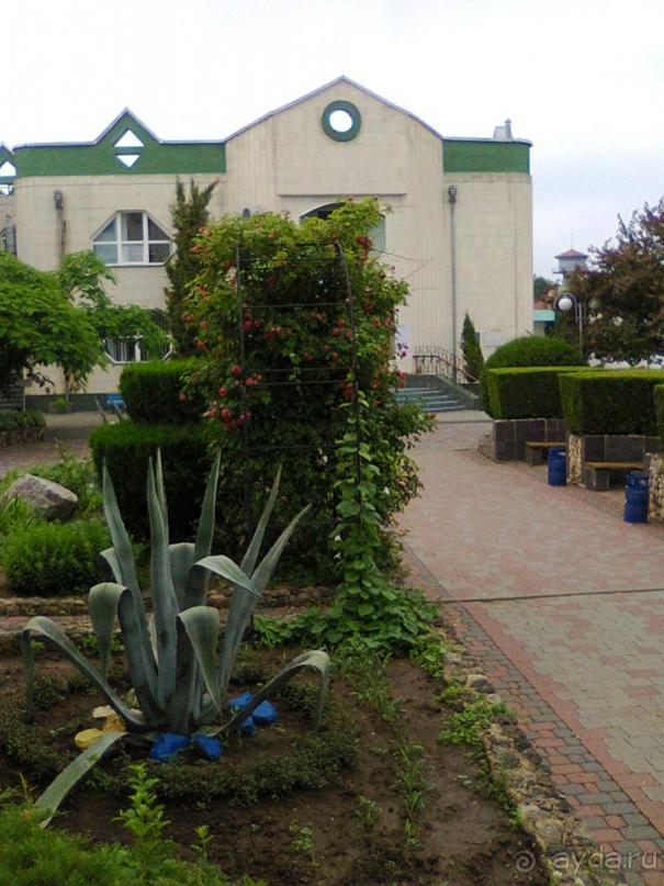 территория