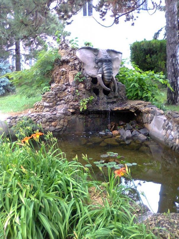 территория