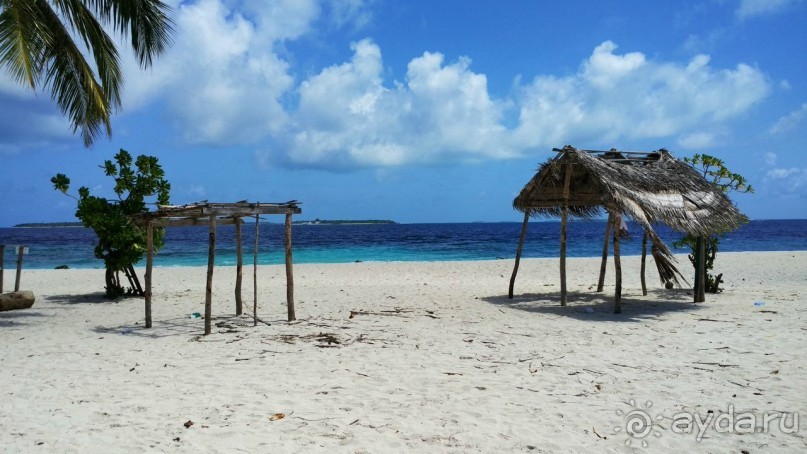 Скаты манта острова Дараванду