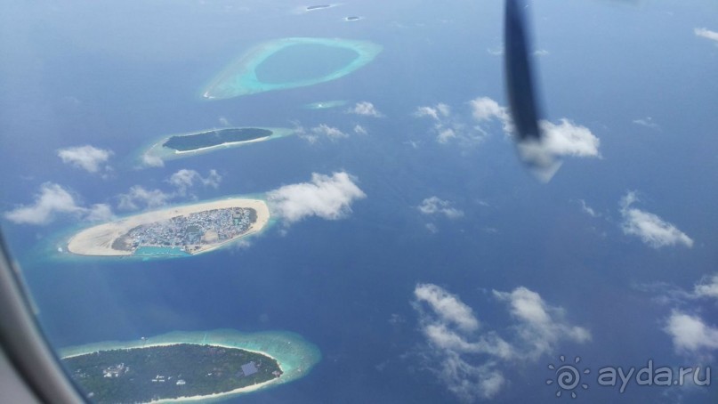 Скаты манта острова Дараванду