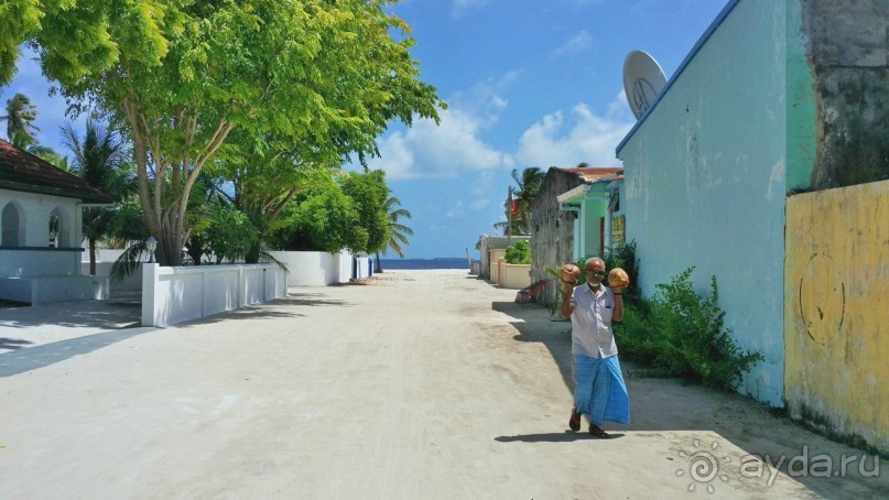 Скаты манта острова Дараванду