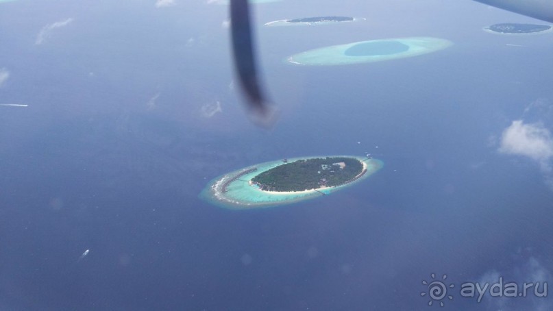 Скаты манта острова Дараванду