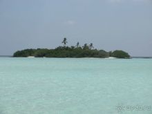 Альбом отзыва "Бюджетный отдых на Мальдивах. Какой он?"