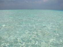 Альбом отзыва "Бюджетный отдых на Мальдивах. Какой он?"