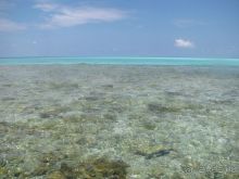 Альбом отзыва "Бюджетный отдых на Мальдивах. Какой он?"