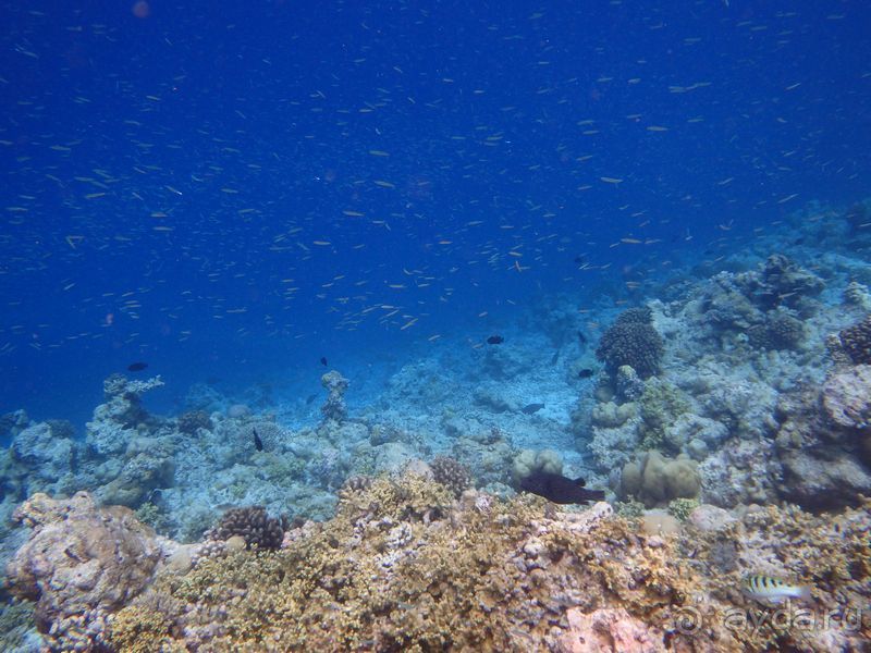 Бюджетный отдых на Мальдивах. Какой он?