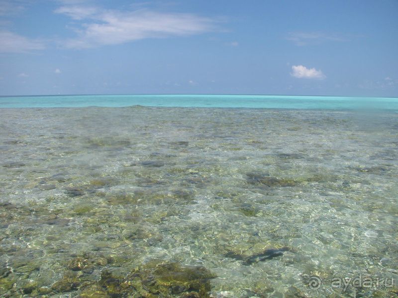 Бюджетный отдых на Мальдивах. Какой он?