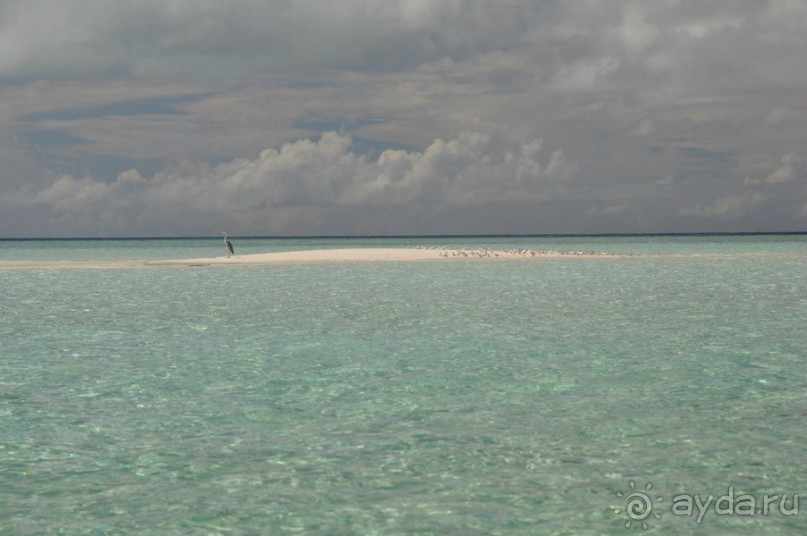 Бюджетный отдых на Мальдивах. Какой он?
