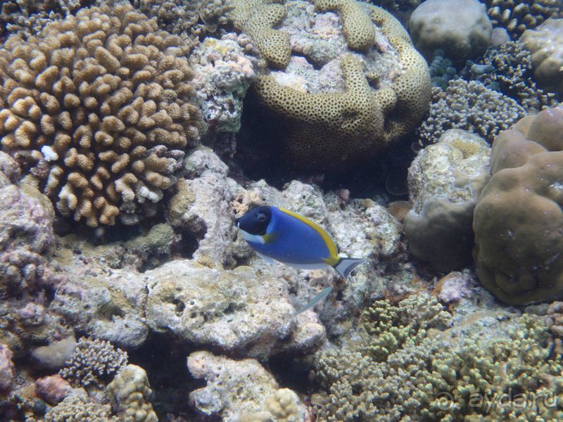 Бюджетный отдых на Мальдивах. Какой он?