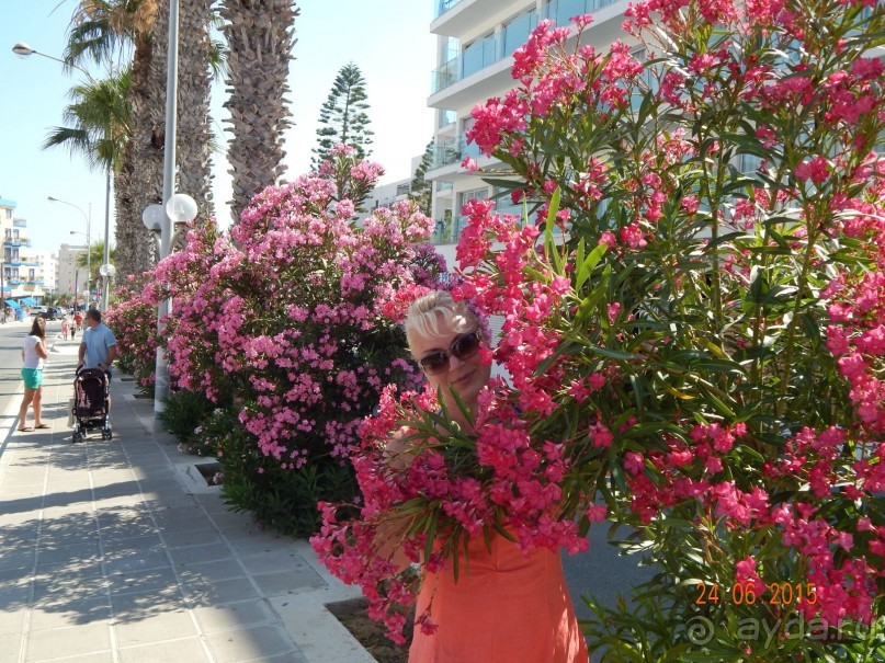 Немного разочарована... Немного разочарована...