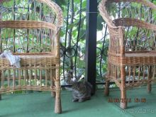 Такой необъятный Крым...