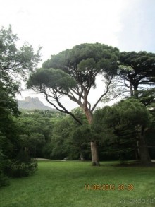 Такой необъятный Крым...