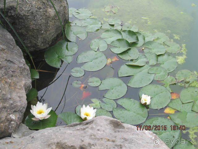 Такой необъятный Крым...