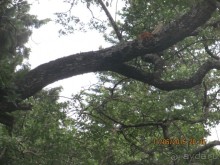 Такой необъятный Крым...