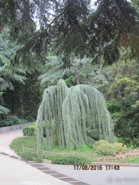 Такой необъятный Крым...