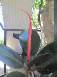 Такой необъятный Крым...