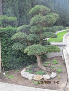 Такой необъятный Крым...