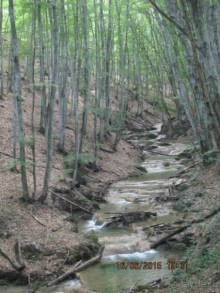 Такой необъятный Крым...