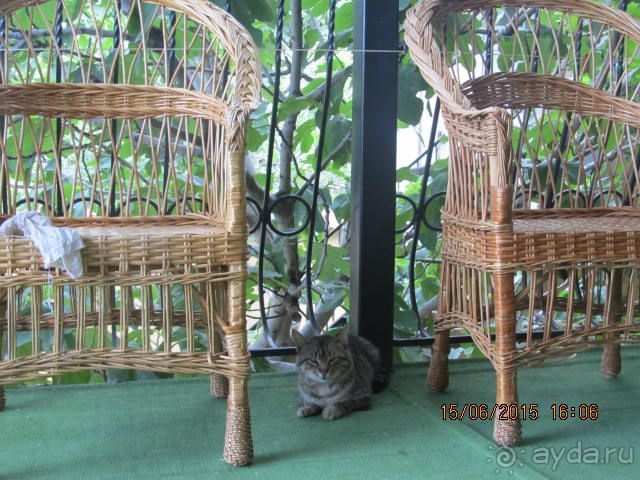 Такой необъятный Крым...