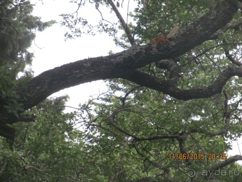 Такой необъятный Крым...