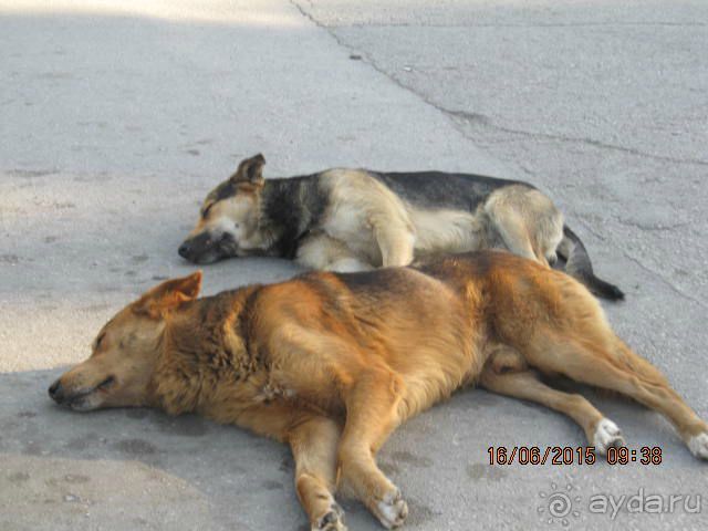 Такой необъятный Крым...