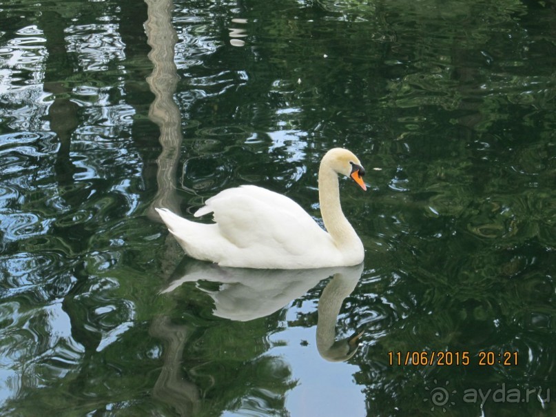 Такой необъятный Крым...