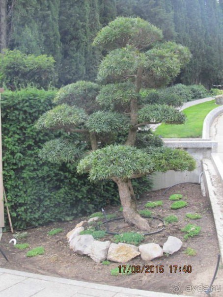 Такой необъятный Крым...