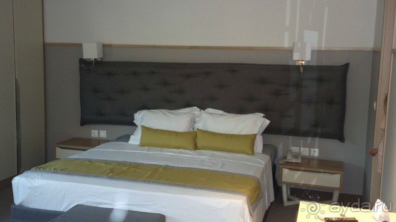 фото Кассандры