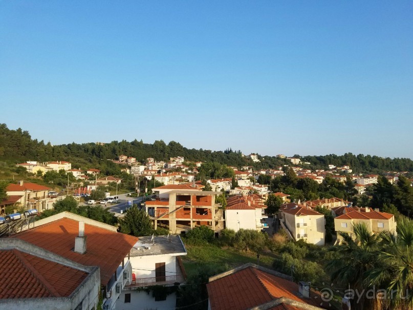 фото Кассандры