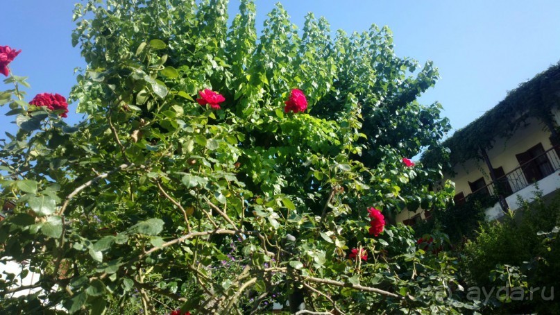 Отличный отдых