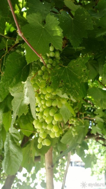 Отличный отдых