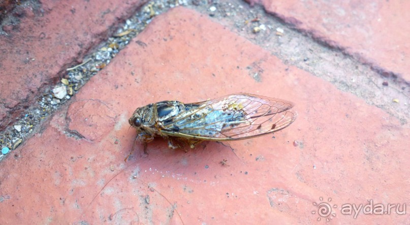 Отличный отдых