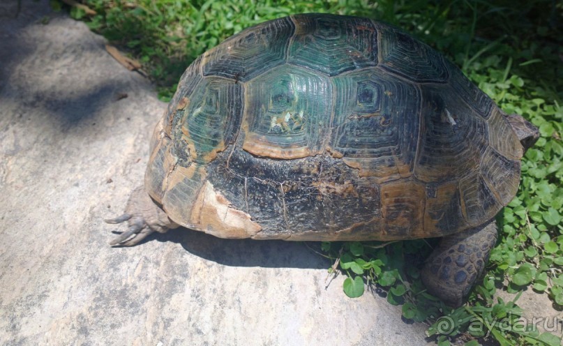 Отличный отдых