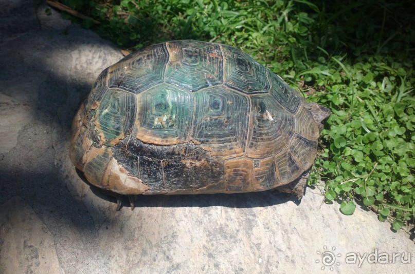 Отличный отдых