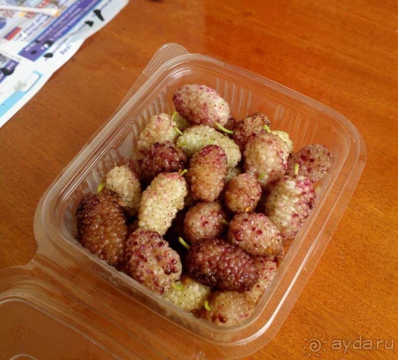 Отличный отдых