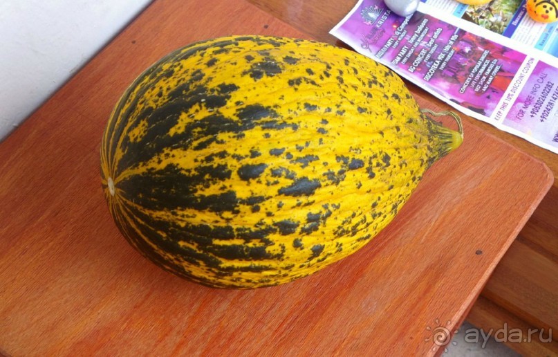 Отличный отдых