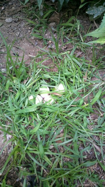 Отличный отдых