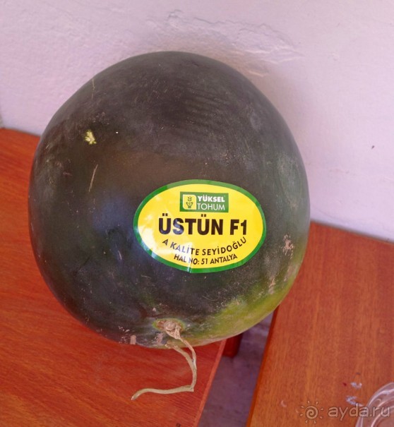 Отличный отдых