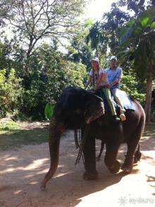 фото Club Palm Bay