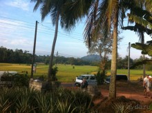 фото Club Palm Bay