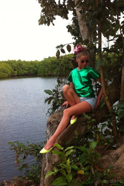 фото Маравилы