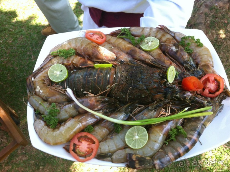 фото Маравилы