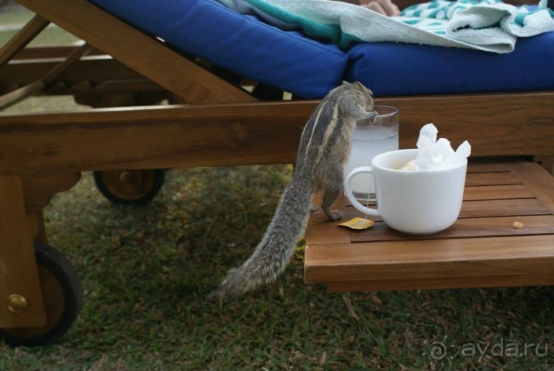 фото Club Palm Bay