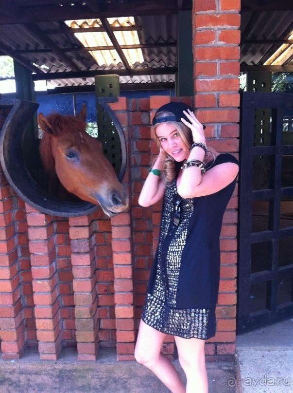 фото Club Palm Bay