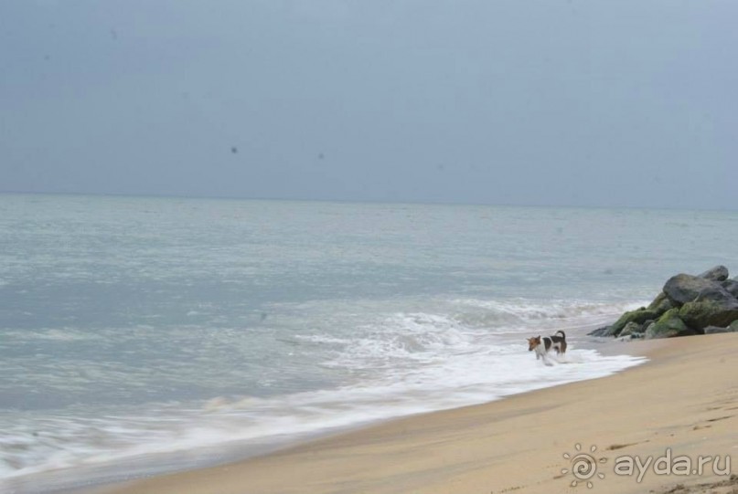 фото Club Palm Bay