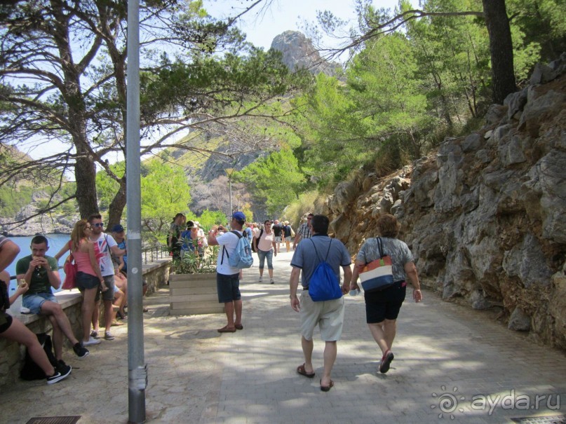 АДЬОС "баблос" по-испански.