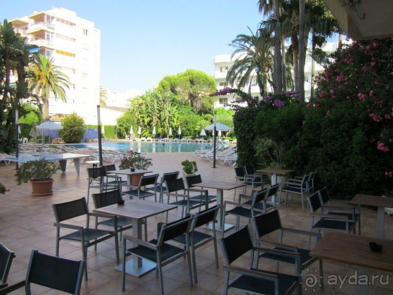 АДЬОС "баблос" по-испански.